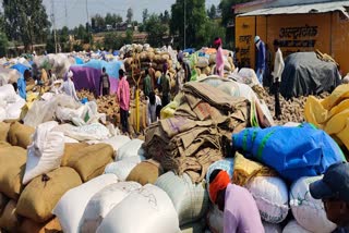 Paddy purchase in Bemetra started again