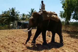 leopard-problem-in-tumkur