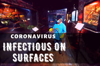 Know how long coronavirus stay infectious on different surfaces.