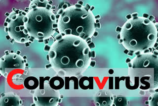 coronavirus