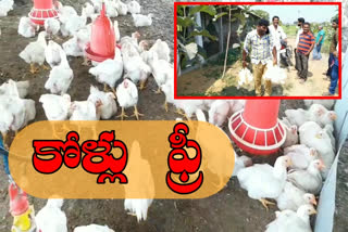 free distribution of hens due to corona effect in huzurabad karimnagar