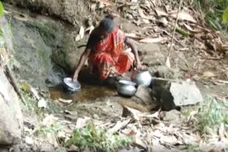 Drinking water shortage  amalakandam and Pinavurkudi  water shortage in tribal  Drinking water  കുട്ടമ്പുഴ പഞ്ചായത്ത്  കുടിവെള്ള ക്ഷാമം  ശുദ്ധജലക്ഷാമം  വരള്‍ച്ച  കുട്ടമ്പുഴ  പിണവൂർകുടി
