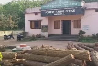 forest department raid in siaria village