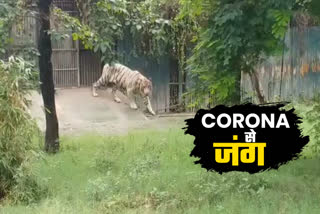 zoo closed to tourists in delhi