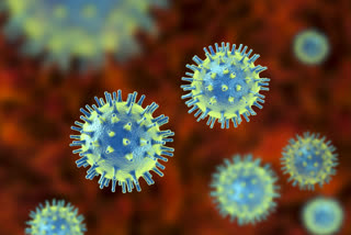 Coronavirus cases in country climb to 151