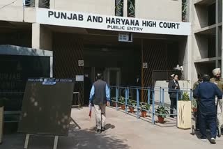 chd high court on ett punjab teachers