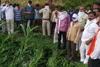 अवकाळी पाऊस, गारपिटीने नुकसानग्रस्त शेतकऱ्यांना तातडीने मदत देणार