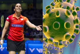 badminton news  covid news  കൊവിഡ് വാർത്ത  ബാഡ്‌മിന്‍റണ്‍ വാർത്ത  Saina news  സൈന വാർത്ത