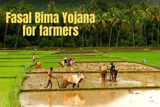 Efforts from states required to make PM Fasal Bima Yojana useful to farmers