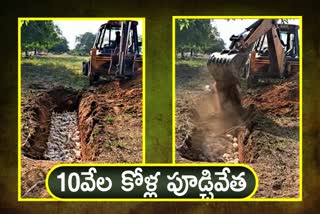 Ten thousand chickens are buried alive at narsapur mandal in medak district