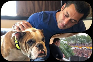 Salman Khan and his galaxy apartment