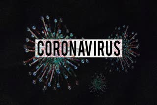 corona virus:myth