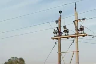 Lineman dies after falling below lightning pole