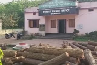Forest department conducts raid in dhenkanal