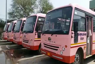 five pink buses included kaithal depot