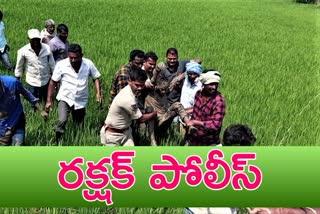 police rescued a person at parwathagiri at warangal rural