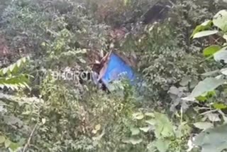 Lorry Fell in to cliff in Kodagu: Driver Dead