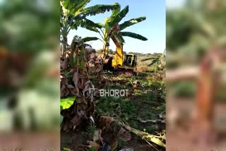 crops destroyed due to irrigation project in mysore