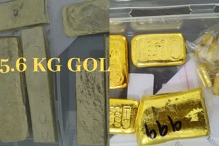 Gold seized  Mangalore gold  Mangalore railway station  Smuggled gold  gold seized from Mangalore  മംഗലാപുരം  സെൻട്രൽ റെയിൽവേ സ്റ്റേഷൻ  സ്വർണ്ണം പിടിക്കൂടി  ഡയറക്ടറേറ്റ് ഓഫ് റവന്യൂ ഇന്‍റലിജൻസ്  വെള്ളി