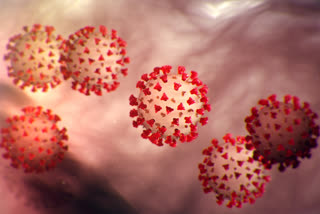 coronavirus