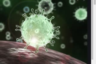 کورونا وائرس:عالمی شرح نمو پر 77 ارب ڈالر سے 347 ارب ڈالر کا اثر پڑنے کا اندیشہ