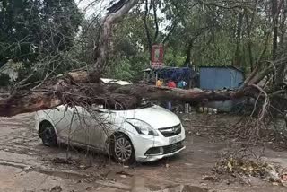 hail-fell-with-unseasonal-rain-in-korba