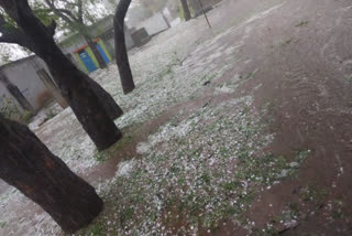 HEAVY RAIN in Warangal