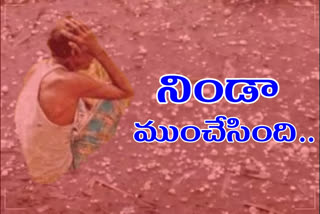 rains damaged farmers in various parts of telangana on Thursday