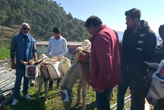 Masks of leaders put on donkeys in Paonta