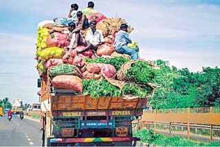 Agriculture affected  by corona pest