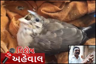 ભાવનગર