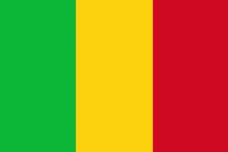 Around 30 Malian soldiers killed in terror attack