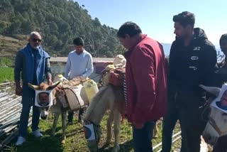 photographs of leaders hanging on donkeys in the village for adoption of Nadda ... then carried water