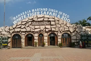 Mukundpur  Safari