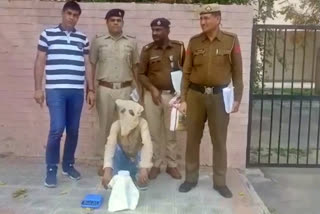 fatehabad police arrested drugs smuggler