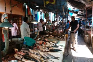 fish market problem local fish sale high price