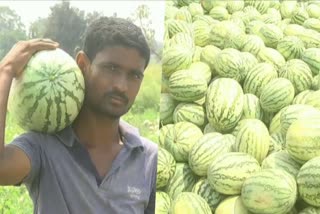 Brothers who grew watermelon on a 16-acre farm in yadagiri