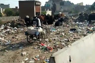 Keshopur Mandi road in bad condition at Najafgarh in delhi