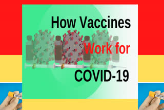 ANIMATION shows how vaccines work against viruses like COVID-19