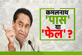 kamal nath fellows