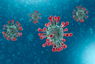 Gujarat coronavirus cases rise to 6