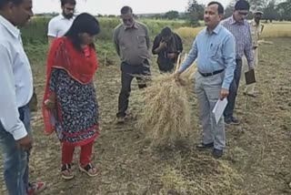 Collector visits villages affected by hailstorm