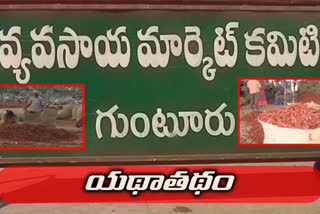 గుంటూరు మిర్చియార్డు