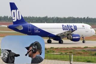 GoAir announces 50 pc pay cut for its top employees