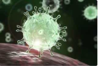 Health department alert regarding corona virus