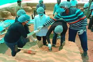 2,000-year-old skeleton found in sixth-phase from Keezhadi excavation site