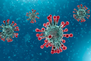 Coronavirus