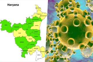 Haryana has 12 corona positive patients