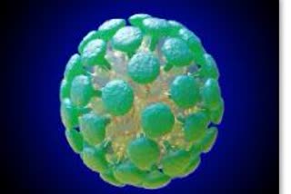 coronavirus news