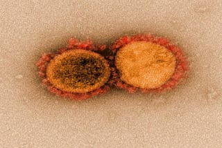 Pakistan's sixth Coronavirus death confirmed,ಕೊರೊನಾ ಸೋಂಕಿಗೆ ಪಾಕಿಸ್ತಾನದಲ್ಲಿ ಆರನೇ ಬಲಿ